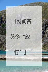 特朗普签令“放行”