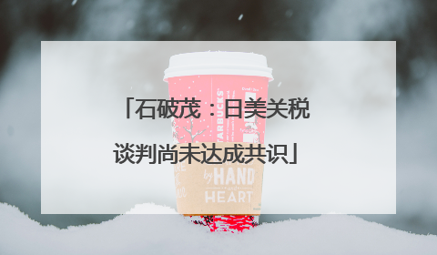 石破茂：日美关税谈判尚未达成共识