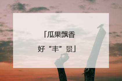 瓜果飘香 好“丰”景