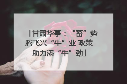 甘肃华亭：“畜”势腾飞兴“牛”业 政策助力添“牛”劲