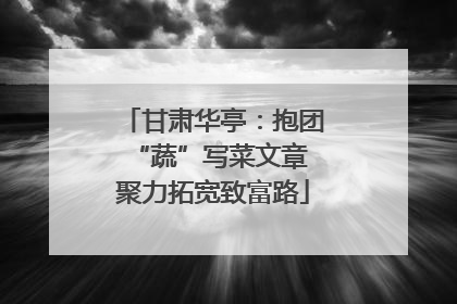 甘肃华亭：抱团“蔬”写菜文章 聚力拓宽致富路