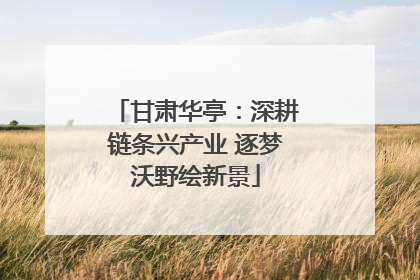 甘肃华亭：深耕链条兴产业 逐梦沃野绘新景