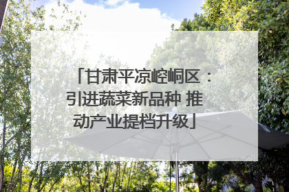 甘肃平凉崆峒区：引进蔬菜新品种 推动产业提档升级