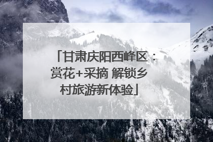 甘肃庆阳西峰区：赏花+采摘 解锁乡村旅游新体验