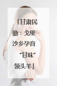 甘肃民勤：戈壁沙乡孕育“甘味”领头羊