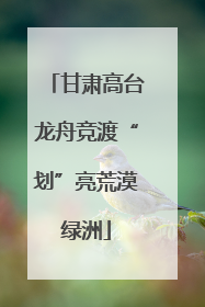 甘肃高台龙舟竞渡“划”亮荒漠绿洲