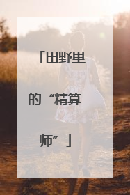 田野里的“精算师”