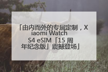 由内而外的专属定制，Xiaomi Watch S4 eSIM「15 周年纪念版」震撼登场