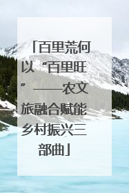 百里荒何以“百里旺”——农文旅融合赋能乡村振兴三部曲