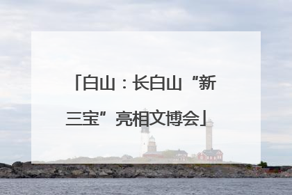 白山：长白山“新三宝”亮相文博会