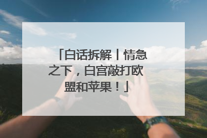 白话拆解丨情急之下，白宫敲打欧盟和苹果！