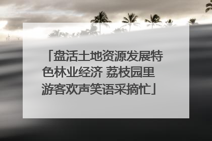 盘活土地资源发展特色林业经济 荔枝园里游客欢声笑语采摘忙