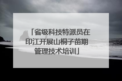 省级科技特派员在印江开展山桐子苗期管理技术培训