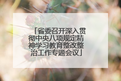 省委召开深入贯彻中央八项规定精神学习教育整改整治工作专题会议