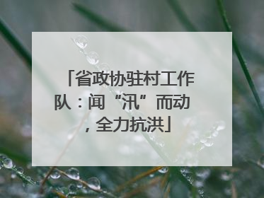 省政协驻村工作队：闻“汛”而动，全力抗洪