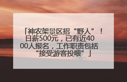 神农架景区招“野人”！日薪500元，已有近4000人报名，工作职责包括“接受游客投喂”