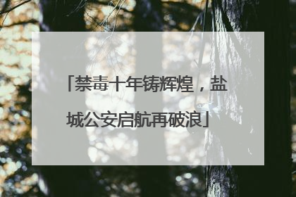 禁毒十年铸辉煌，盐城公安启航再破浪