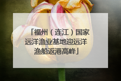 福州（连江）国家远洋渔业基地迎远洋渔船返港高峰