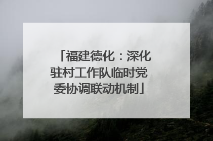 福建德化：深化驻村工作队临时党委协调联动机制
