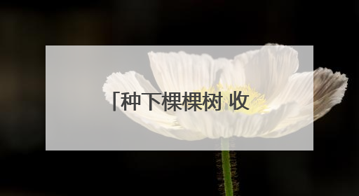 种下棵棵树 收获一山绿——记牟家大山林业管理站站长王占胜