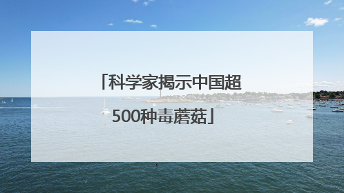 科学家揭示中国超500种毒蘑菇