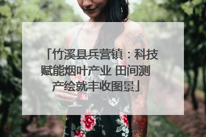竹溪县兵营镇：科技赋能烟叶产业 田间测产绘就丰收图景