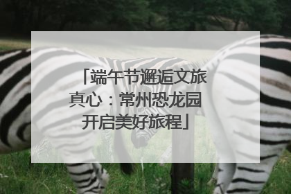 端午节邂逅文旅真心：常州恐龙园开启美好旅程