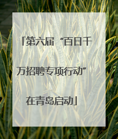 第六届“百日千万招聘专项行动”在青岛启动