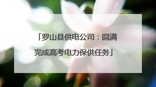 罗山县供电公司：圆满完成高考电力保供任务
