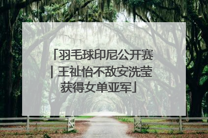 羽毛球印尼公开赛｜王祉怡不敌安洗莹 获得女单亚军