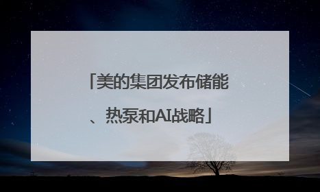 美的集团发布储能、热泵和AI战略