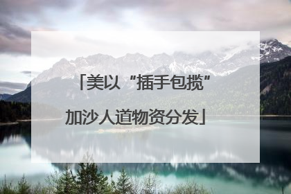 美以“插手包揽”加沙人道物资分发