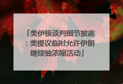 美伊核谈判细节披露：美提议临时允许伊朗继续铀浓缩活动