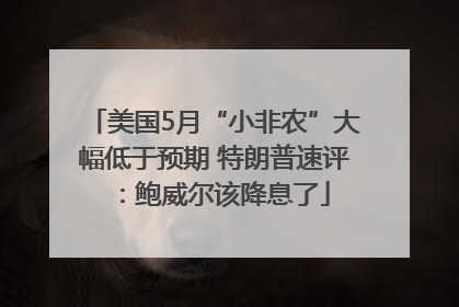 美国5月“小非农”大幅低于预期 特朗普速评：鲍威尔该降息了