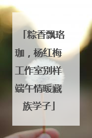 粽香飘珞珈，杨红梅工作室别样端午情暖藏族学子