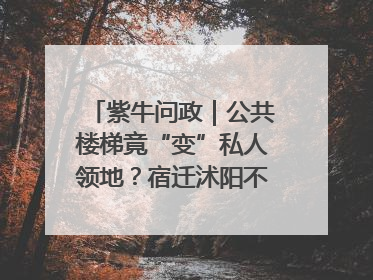 紫牛问政｜公共楼梯竟“变”私人领地？宿迁沭阳不动产登记引质疑