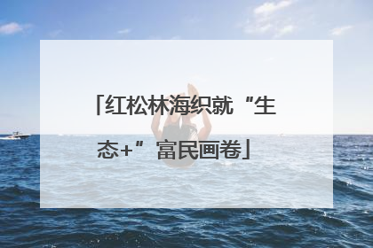 红松林海织就“生态+”富民画卷