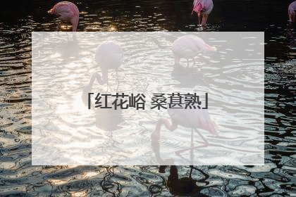红花峪 桑葚熟
