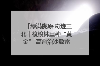 绿满陇原·奇迹三北｜梭梭林里种“黄金” 高台治沙致富很“从容”