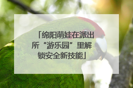 绵阳萌娃在派出所“游乐园”里解锁安全新技能