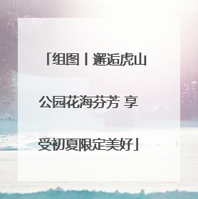 组图丨邂逅虎山公园花海芬芳 享受初夏限定美好