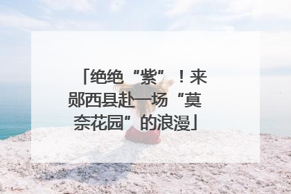 绝绝“紫”！来郧西县赴一场“莫奈花园”的浪漫