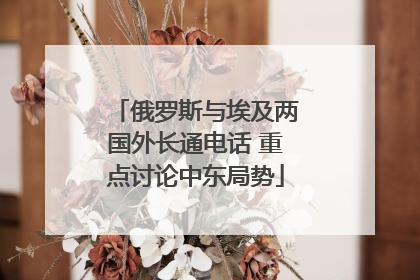 俄罗斯与埃及两国外长通电话 重点讨论中东局势