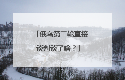 俄乌第二轮直接谈判谈了啥？