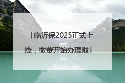 临沂保2025正式上线，缴费开始办理啦