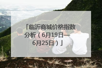 临沂商城价格指数分析（6月19日—6月25日）