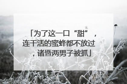 为了这一口“甜”，连干活的蜜蜂都不放过，诸暨两男子被抓