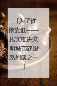 为了谁 依靠谁——扎实推进文明城市建设系列谈之一