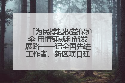 为民撑起权益保护伞 用情铺就和谐发展路——记全国先进工作者、新区项目建设中心干部卢小勇
