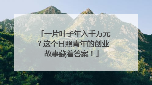 一片叶子年入千万元？这个日照青年的创业故事藏着答案！